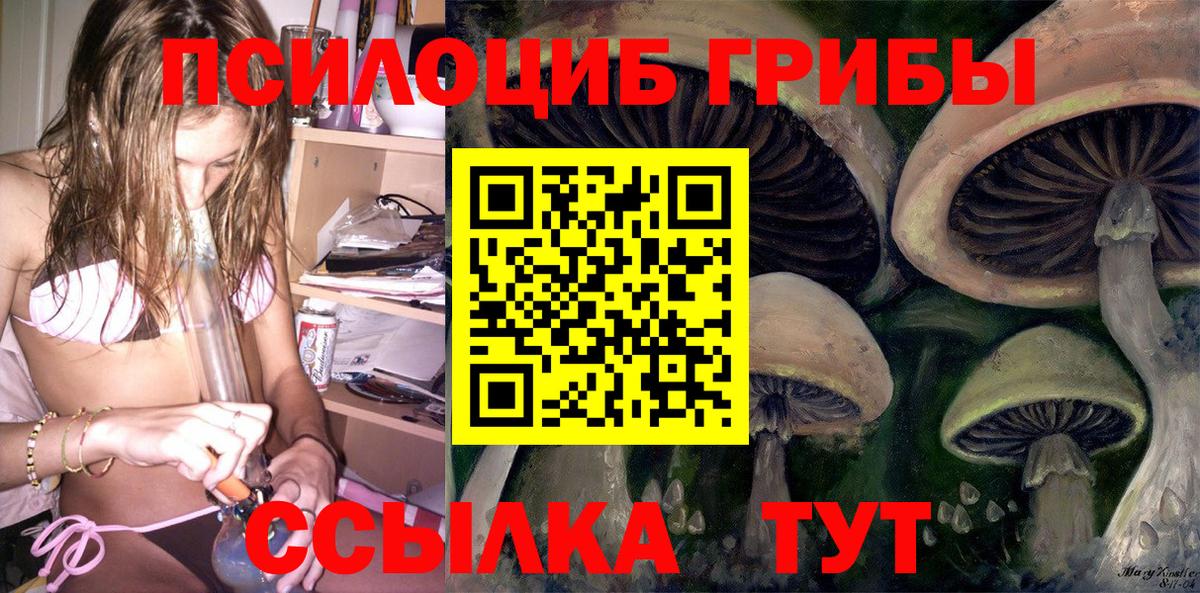 Кинешма  Псилоцибиновые грибы Magic Shrooms  Вход с VPN 